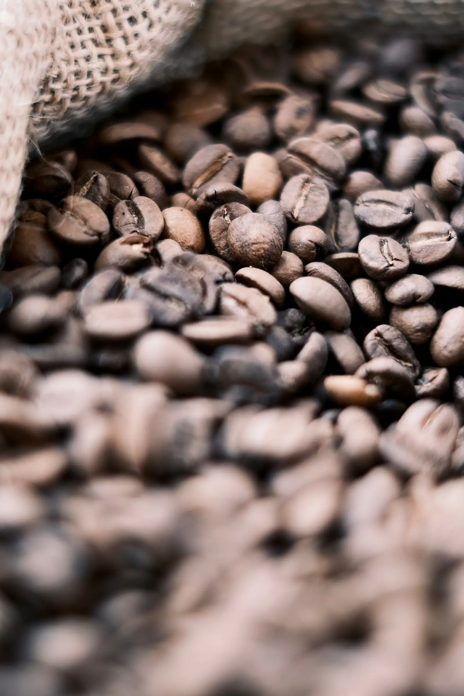 Roasted coffee beans spilling from a burlap sack.