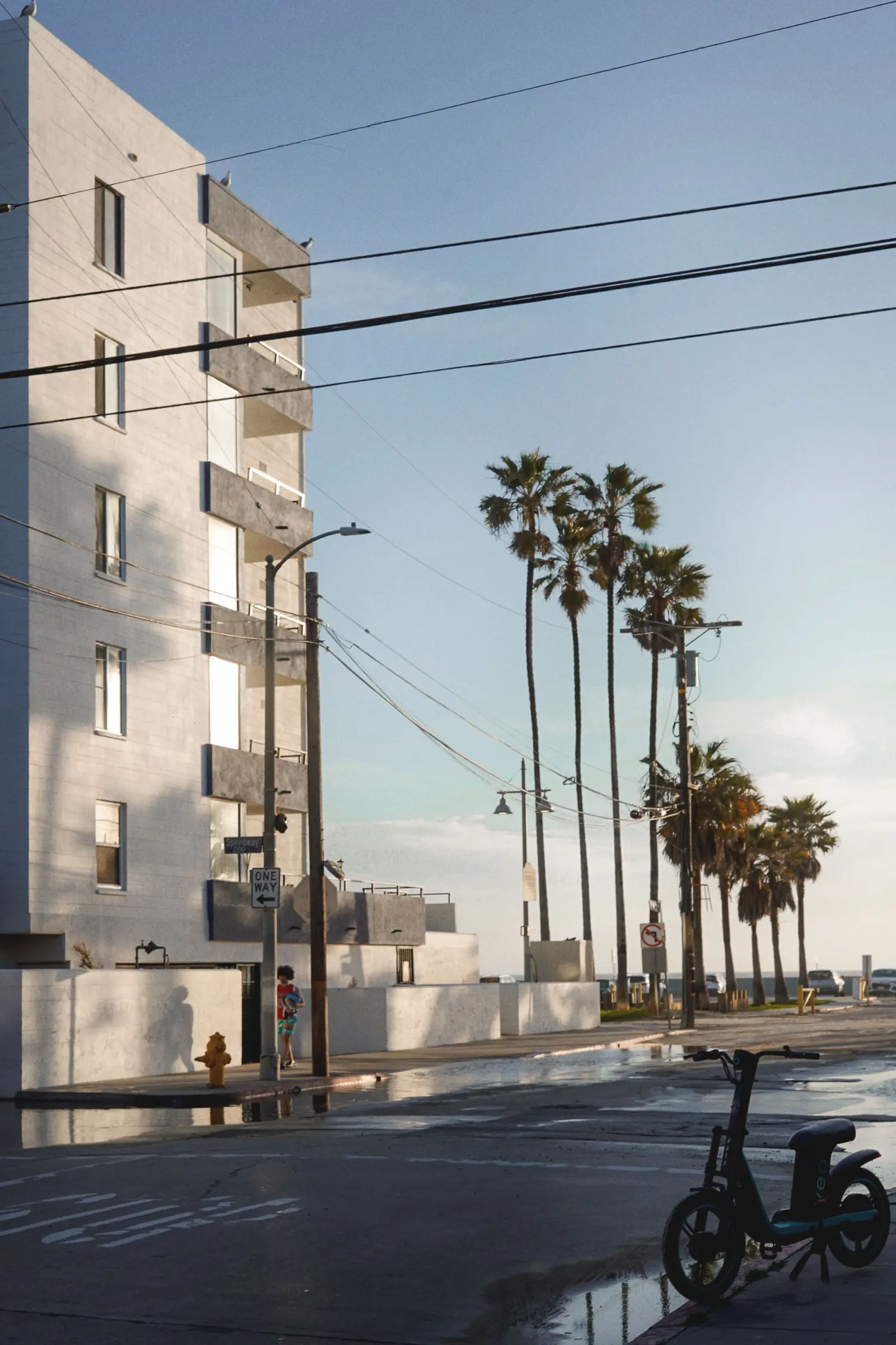 Palm trees lining an empty street.